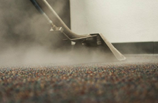 Carpet Steam Cleaning