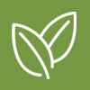 Green Cleaning Products
