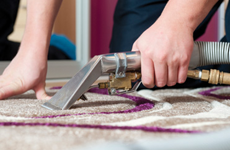 Area Rug Cleaning