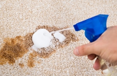 Special Stain Treatment